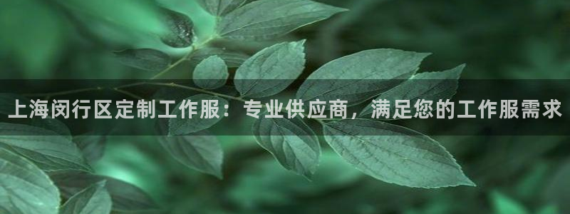 头号官网登录入口|上海闵行区定制工作服：专业供应商，满足您的工作服需求